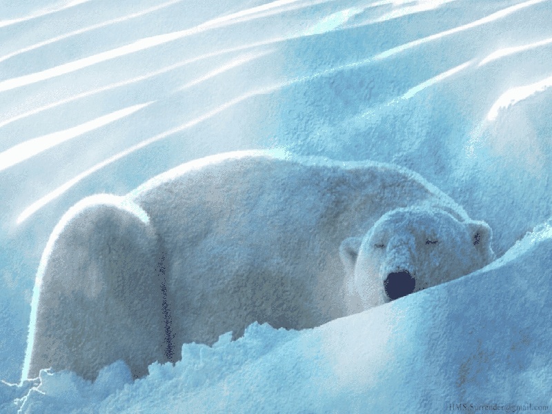 上海三代供卵例子,山东临沂做试管婴儿成功率最高的医院是哪里？如何选-上海